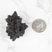 Prophecy Stone 56 g 47x36mm - InnerVision Crystals
