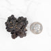 Prophecy Stone 58 g 48x43mm - InnerVision Crystals