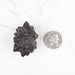 Prophecy Stone 60 g 44x36mm - InnerVision Crystals