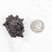 Prophecy Stone 61 g 41x38mm - InnerVision Crystals