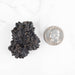 Prophecy Stone 62 g 43x35mm - InnerVision Crystals