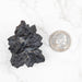 Prophecy Stone 70 g 50x40mm - InnerVision Crystals