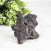 Prophecy Stone 78 g 51x44mm - InnerVision Crystals