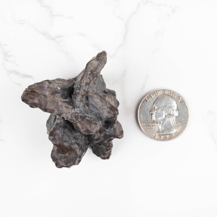 Prophecy Stone 78 g 51x44mm - InnerVision Crystals