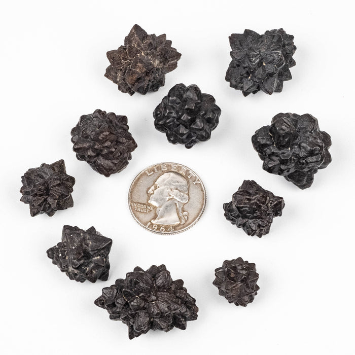 Prophecy Stone Lot 102 g 13 - 26mm - InnerVision Crystals
