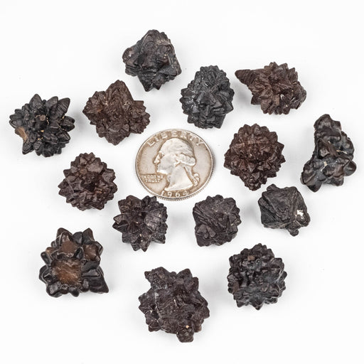 Prophecy Stone Lot 102 g 15 - 19mm - InnerVision Crystals
