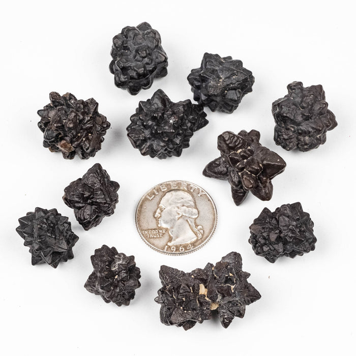 Prophecy Stone Lot 104 g 15 - 30mm - InnerVision Crystals