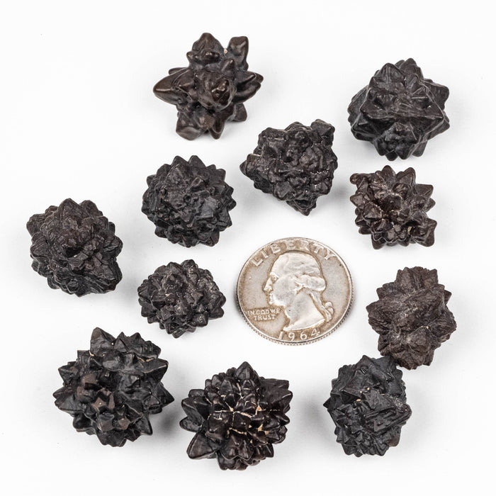 Prophecy Stone Lot 106 g 15 - 24mm - InnerVision Crystals