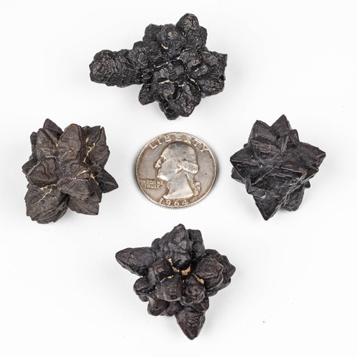 Prophecy Stone Lot 106 g 35 - 39mm - InnerVision Crystals