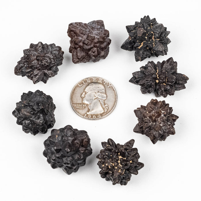 Prophecy Stone Lot 110 g 21 - 24mm - InnerVision Crystals
