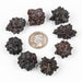 Prophecy Stone Lot 110 g 21 - 24mm - InnerVision Crystals