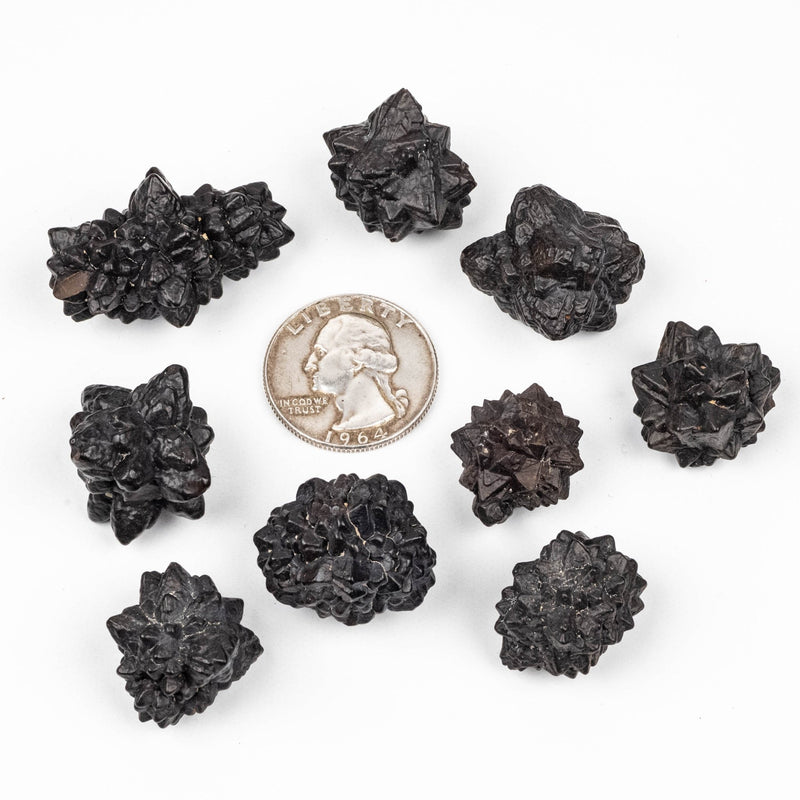 Prophecy Stone Lot 98 g 16-25mm - InnerVision Crystals