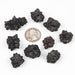 Prophecy Stone Lot 98 g 16 - 25mm - InnerVision Crystals
