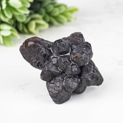 Prophecy Stone Pseudomorph 23.40 g 35x31mm - InnerVision Crystals