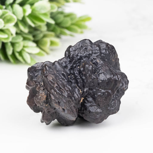 Prophecy Stone Pseudomorph 30.91 g 34x27mm - InnerVision Crystals