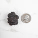 Prophecy Stone Pseudomorph 31 g 31x24mm - InnerVision Crystals