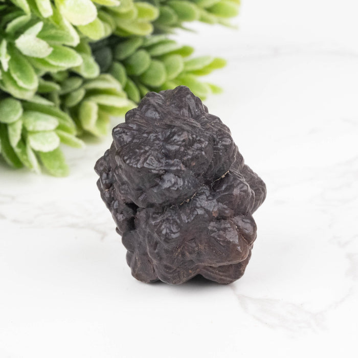 Prophecy Stone Pseudomorph 31 g 31x24mm - InnerVision Crystals