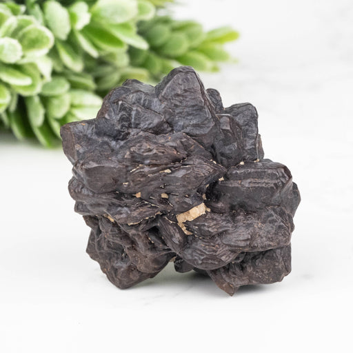 Prophecy Stone Pseudomorph 32.06 g 31x27mm - InnerVision Crystals