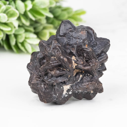 Prophecy Stone Pseudomorph 32.06 g 31x27mm - InnerVision Crystals