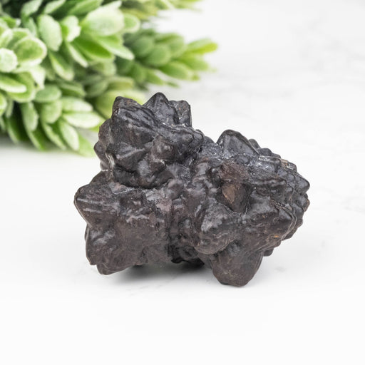 Prophecy Stone Pseudomorph 34.21 g 33x28mm - InnerVision Crystals