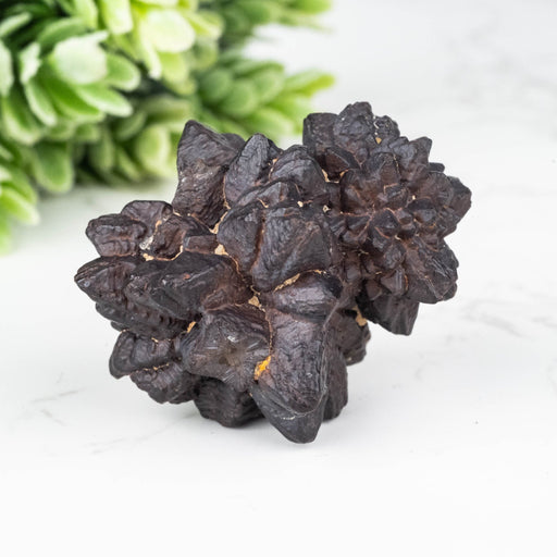 Prophecy Stone Pseudomorph 35.31 g 38x34mm - InnerVision Crystals