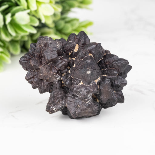 Prophecy Stone Pseudomorph 35.31 g 38x34mm - InnerVision Crystals