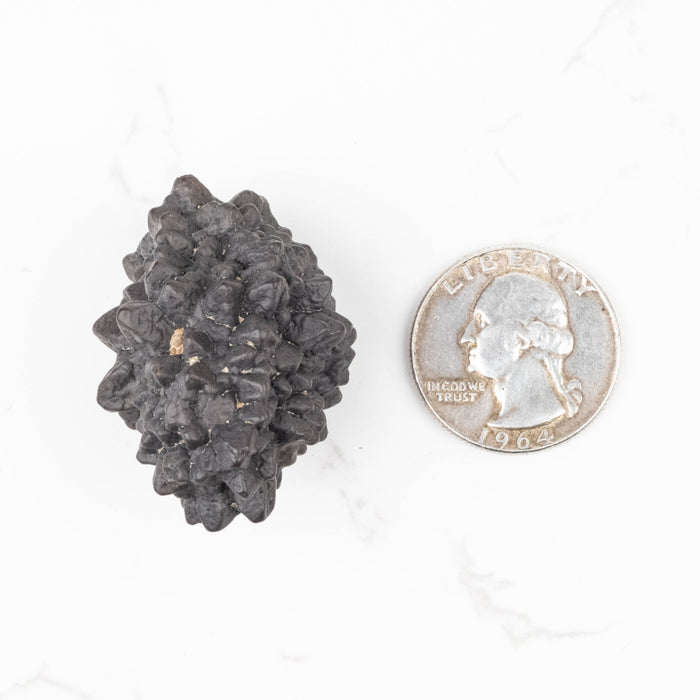 Prophecy Stone Pseudomorph 37 g 40x28mm - InnerVision Crystals