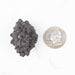 Prophecy Stone Pseudomorph 37 g 40x28mm - InnerVision Crystals
