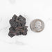 Prophecy Stone Pseudomorph 39 g 38x31mm - InnerVision Crystals