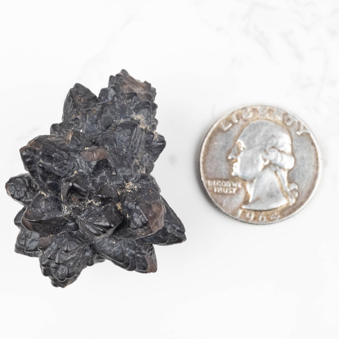 Prophecy Stone Pseudomorph 42.94 g 41x37mm - InnerVision Crystals