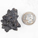 Prophecy Stone Pseudomorph 42.94 g 41x37mm - InnerVision Crystals