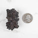 Prophecy Stone Pseudomorph 51 g 47x28mm - InnerVision Crystals