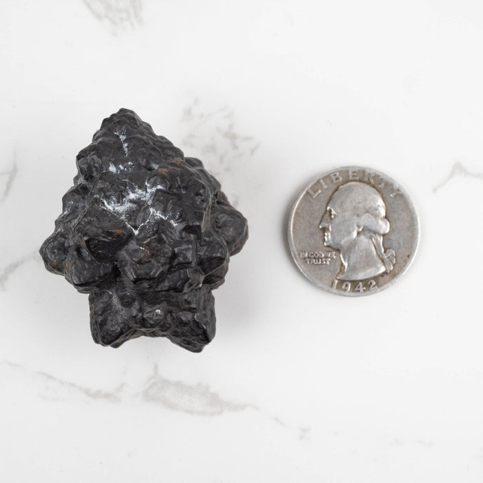 Prophecy Stone Pseudomorph 59 g 43x35mm - InnerVision Crystals
