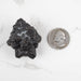 Prophecy Stone Pseudomorph 59 g 43x35mm - InnerVision Crystals