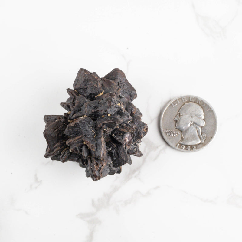 Prophecy Stone Pseudomorph 64 g 47x40mm - InnerVision Crystals