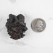 Prophecy Stone Pseudomorph 65 g 40x40mm - InnerVision Crystals