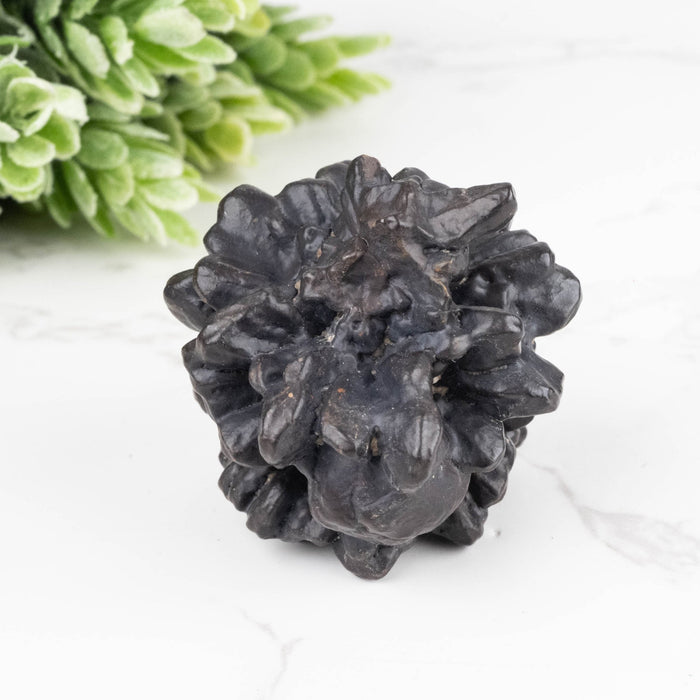 Prophecy Stone Pseudomorph 66 g 45x40mm - InnerVision Crystals