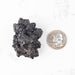 Prophecy Stone Pseudomorph 67.40 g 49x39mm - InnerVision Crystals