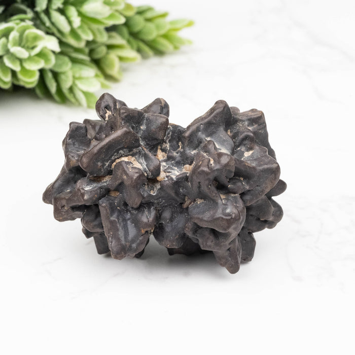 Prophecy Stone Pseudomorph 69 g 50x36mm - InnerVision Crystals
