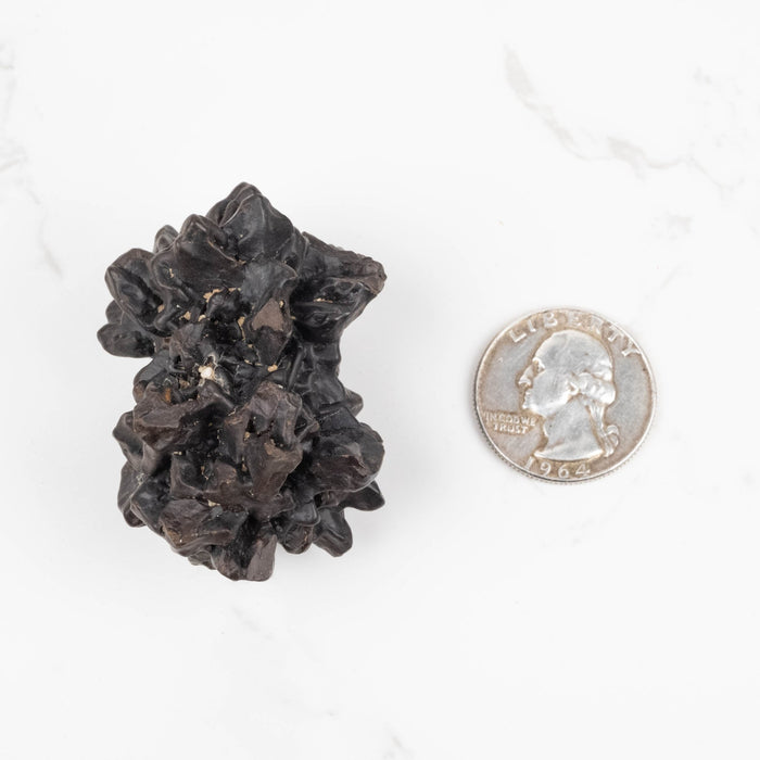 Prophecy Stone Pseudomorph 69 g 50x36mm - InnerVision Crystals