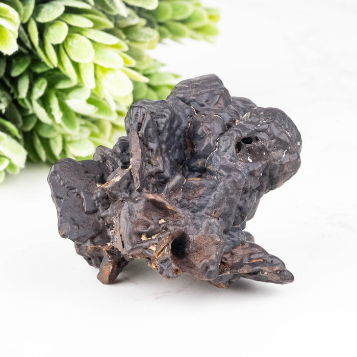 Prophecy Stone Pseudomorph 69.58 g 49x48mm - InnerVision Crystals