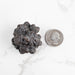 Prophecy Stone Pseudomorph 70 g 42x40mm - InnerVision Crystals