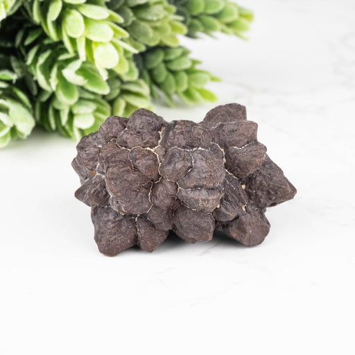 Prophecy Stone Pseudomorph 71.40 g 49x45mm - InnerVision Crystals