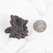 Prophecy Stone Pseudomorph 72 g 46x45mm - InnerVision Crystals