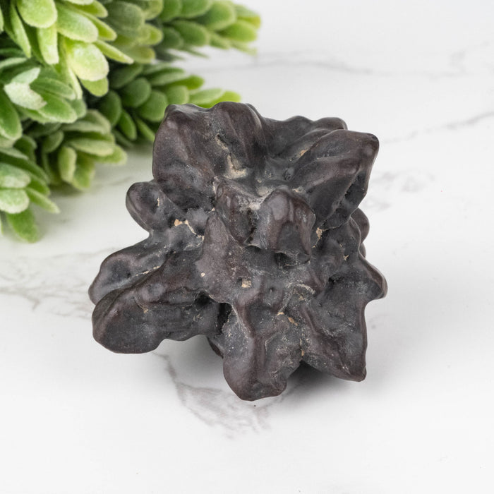 Prophecy Stone Pseudomorph 72 g 46x45mm - InnerVision Crystals
