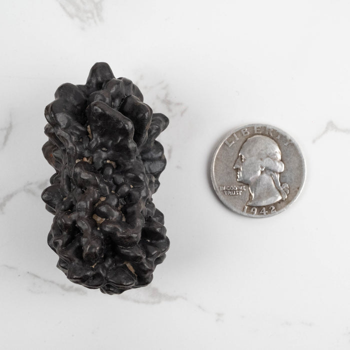 Prophecy Stone Pseudomorph 73 g 53x33mm - InnerVision Crystals