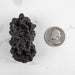 Prophecy Stone Pseudomorph 73 g 53x33mm - InnerVision Crystals