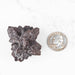 Prophecy Stone Pseudomorph 73.66 g 45x43mm - InnerVision Crystals