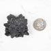 Prophecy Stone Pseudomorph 73.87 g 50x48mm - InnerVision Crystals