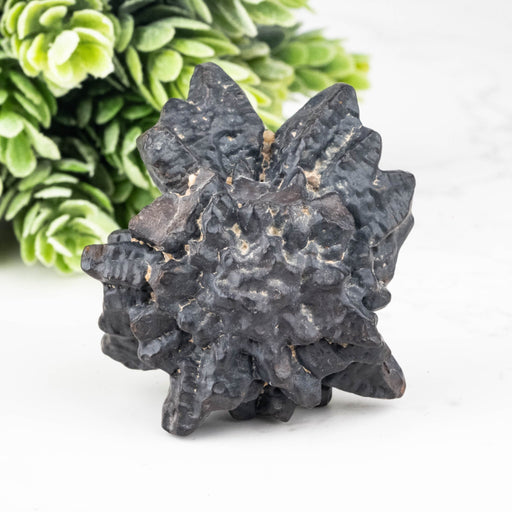 Prophecy Stone Pseudomorph 73.87 g 50x48mm - InnerVision Crystals